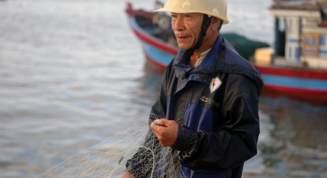 Cá biển chết hàng loạt khiến ngư dân không ra biển được và nhiều người đổ lỗi cho FLC