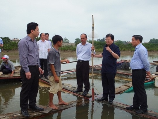 Phó Thủ tướng Trịnh Đình Dũng yêu cầu kiểm tra làm rõ nguyên nhân trên cơ sở khoa học, thận trọng nhưng phải nhanh nhất, sớm nhất