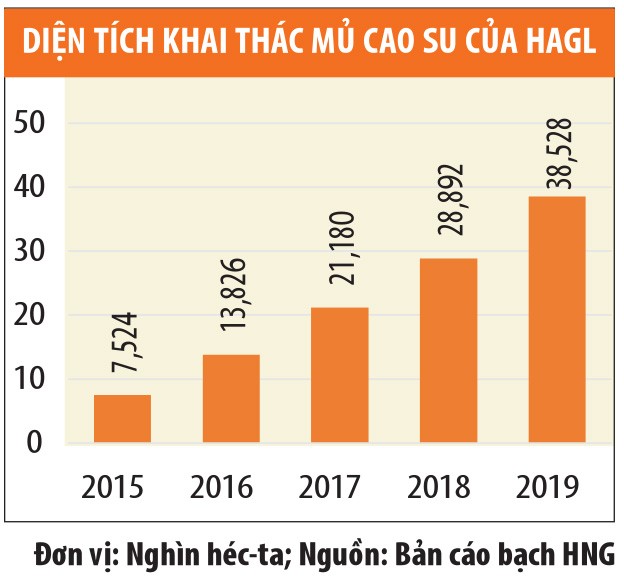 Giá dầu tăng, cao su trở lại “vàng trắng”?