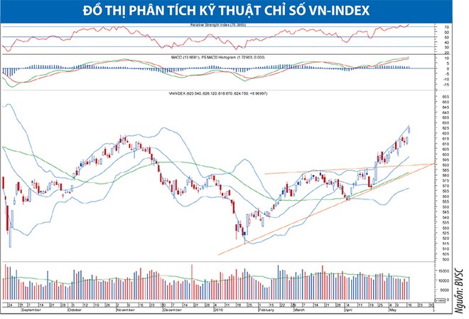 Nguồn: BVSC