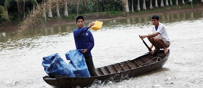 Với chi phí bồi thường hàng năm lên đến hàng trăm tỷ đồng, bảo hiểm chính là “tấm lá chắn” của ngành thủy sản