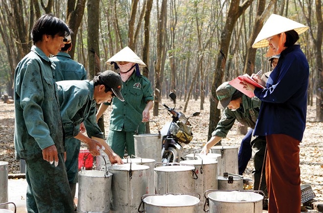 Doanh nghiệp sản xuất lạc quan với lợi nhuận quý III