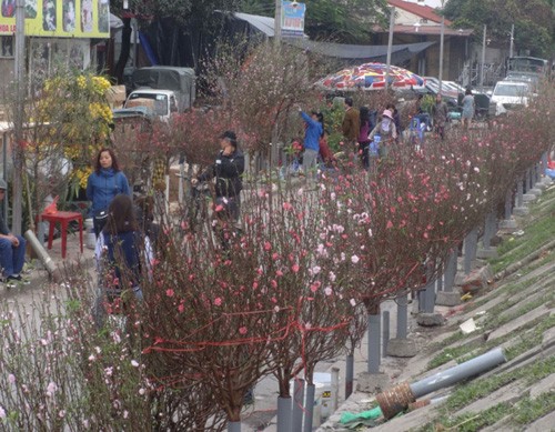 Vào những ngày giáp Tết, người dân đổ xô ra các chợ hoa để mua sắm. Ảnh: Tuyết Mai.