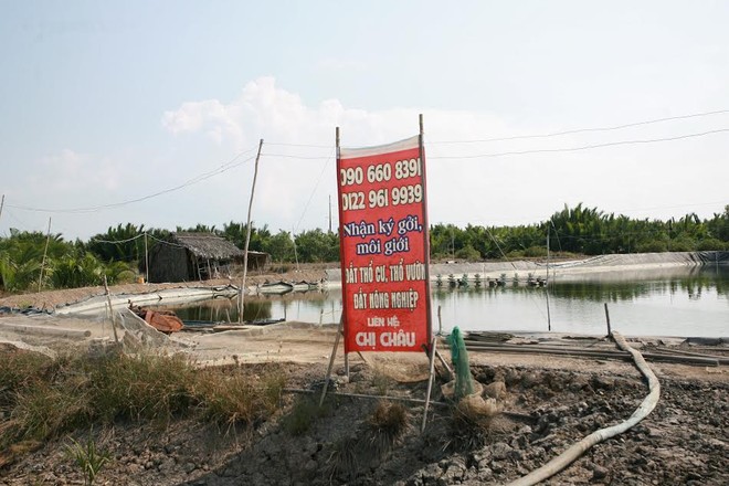 Giá đất tại Cần Giờ đang sốt nóng - Ảnh: Lê Toàn