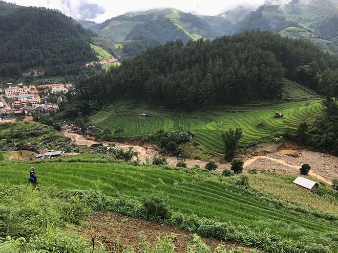 Bay lên “mùa vàng” Mù Cang Chải