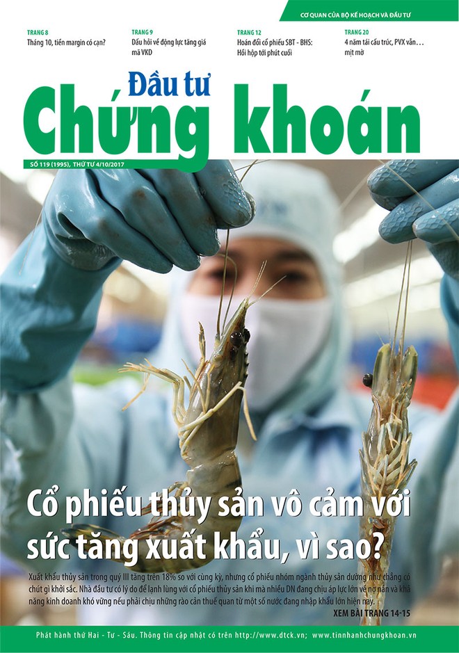 Đầu tư Chứng khoán số 119/2017