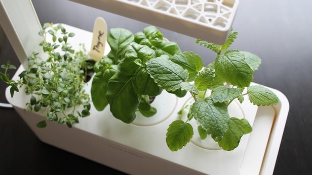 Vườn thảo mộc thông minh - Smart Herb Garden