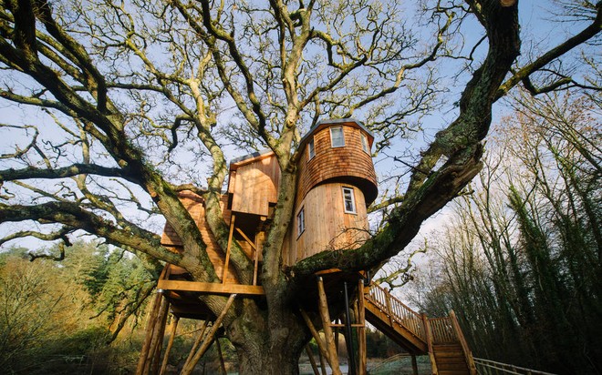 Ngôi nhà trên cây lớn nhất nước Anh