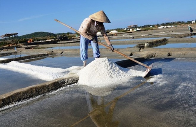 Phần diện tích của đồng muối Sa Huỳnh đang được nhà đầu tư lên phương án đền bù, giải tỏa để phân lô, bán nền.