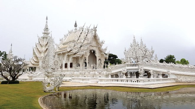 Chiang Mai bông hồng tuyệt sắc xứ chùa vàng