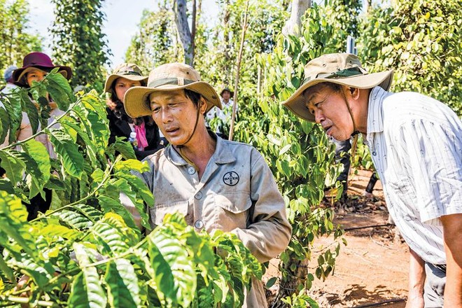 Bayer đang triển khai các khóa đào tạo nâng cao năng lực cho người nông dân nhằm cải thiện năng suất, chất lượng nông sản.