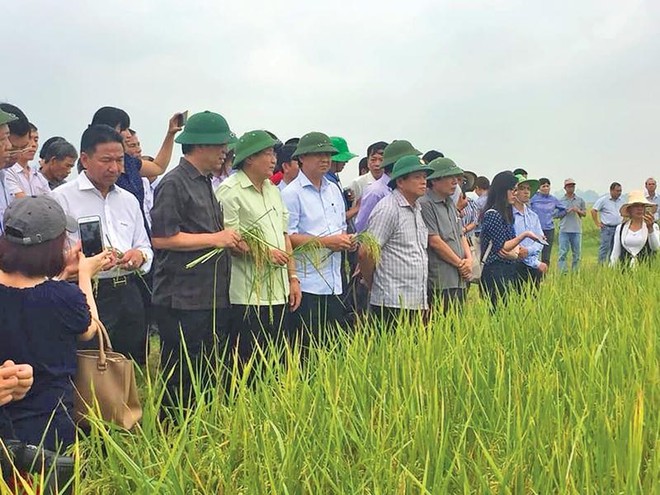 Cải thiện chính sách thu hút đầu tư vào nông nghiệp, nông thôn