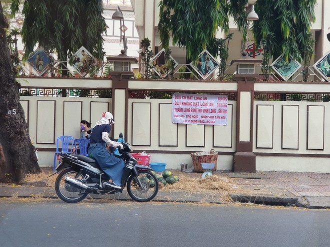 Hội doanh nhân trẻ Việt Nam kêu gọi hỗ trợ tiêu thụ 100.000 tấn thanh long cho tỉnh Bình Thuận