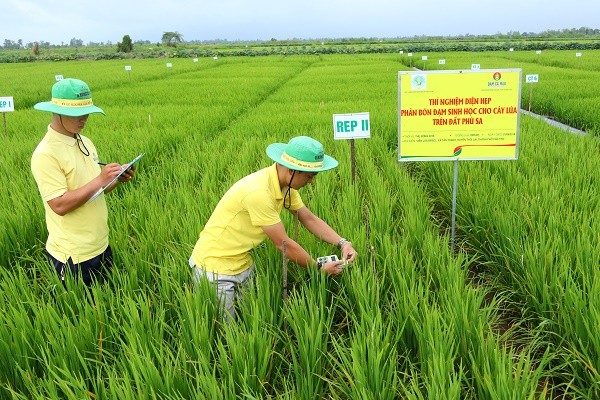 Trải nghiệm giải pháp canh tác với phân bón ứng dụng công nghệ cao