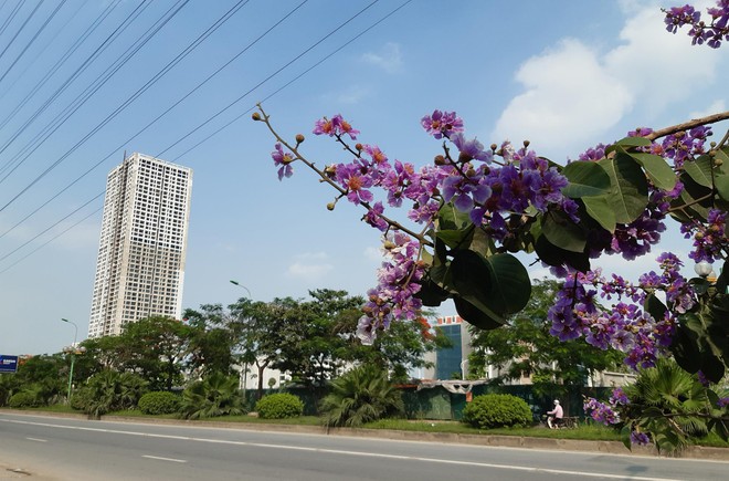 Giãn cách xã hội đã khiến thị trường cả quý trầm lắng hơn hẳn quý 2. Ảnh: Thành Nguyễn.