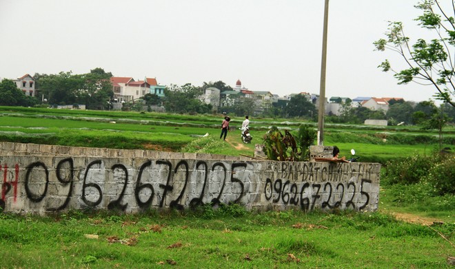 Phân khúc đất nền Hà Nội vẫn là kênh đầu tư yêu thích của nhiều người. Ảnh: Thành Nguyễn.