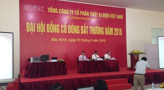 ĐHCĐ bất thường của GEX tổ chức đầu tháng 8 đã thông qua nhiều nội dung quan trọng