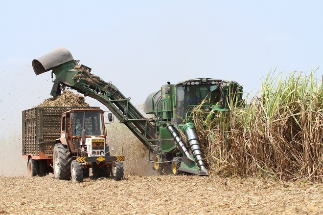 Lãnh đạo cấp cao TTC Sugar (SBT) đồng loạt đăng ký mua vào cổ phiếu