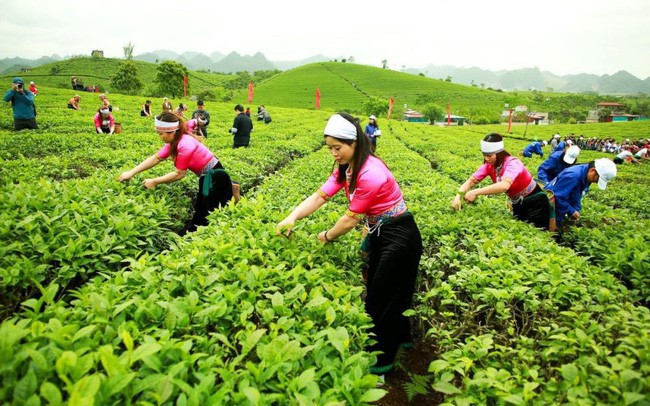 GTNFoods (GTN): Vinamilk công bố đã mua thêm hơn 5,8 triệu cổ phiếu, nâng sở hữu lên 40,68%