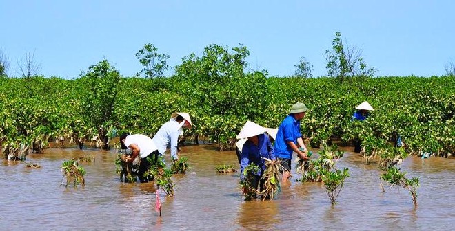 “Nên làm bạn với mặn vì nó sẽ là cơ hội làm giàu“