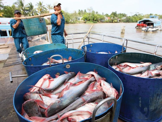 Rất nhiều quy hoạch ngành, sản phẩm đang được thực hiện, nhưng không phù hợp với thể chế của nền kinh tế thị trường. Ảnh: Lê Toàn