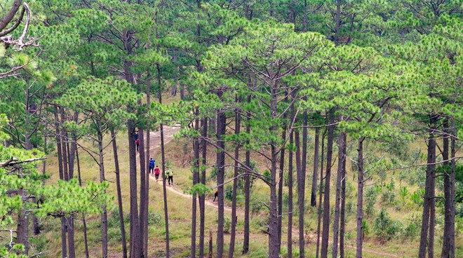 Trekking trên "nóc nhà Tây Nguyên" Bidoup