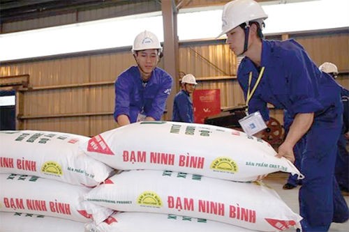 Đạm Ninh Bình là một trong số các dự án đã được khởi động lại sản xuất từ đầu năm 2017, tuy nhiên dự án vẫn chưa thể quyết toán, do vướng mắc xử lý hợp đồng EPC với tổng thầu Trung Quốc. 