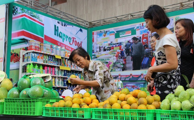 Công ty cổ phần được chuyển đổi từ Công ty mẹ - Hapro sẽ phải kế thừa quyền lợi và nghĩa vụ tại các công ty cổ phần, công ty TNHH - bao gồm cả 41 khoản đầu tư tài chính.