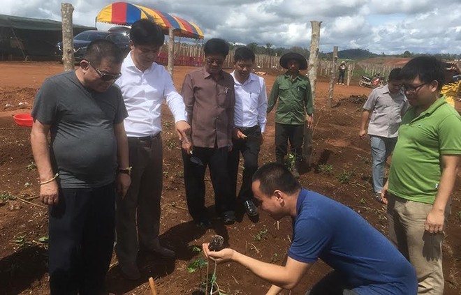 Ban lãnh đạo Nafoods tham gia lễ xuống giống chanh leo cùng đối tác tại Lào.