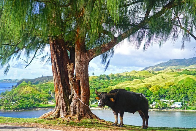 Guam - thiên đường du lịch 'bất đắc dĩ' nổi danh thế giới