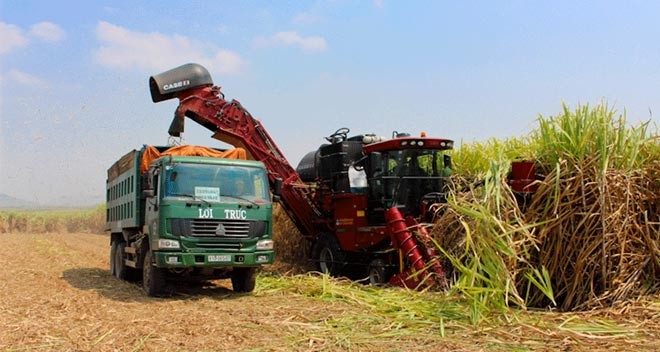 SBT: Cổ đông lớn đăng ký mua 10 triệu cổ phiếu