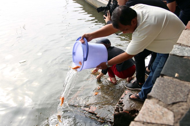 TP.HCM: Người dân tấp nập thả cá chép tiễn ông Công, ông Táo về trời