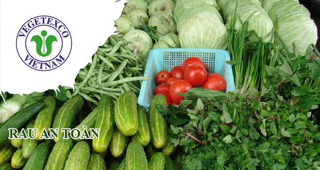 Vi phạm hàng loạt lỗi, Tổng công ty Rau quả Nông sản (Vegetexco) bị phạt hơn nửa tỷ đồng