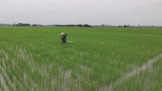 Lâu nay, lĩnh vực bất động sản nông nghiệp chưa được khai phá hết tiềm năng.