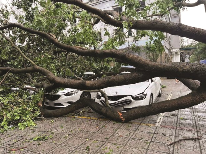 Ngành bảo hiểm toàn cầu “đau đầu” với tổn thất bão lũ