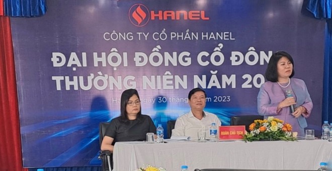 Hanel: "Không thoái vốn thành công, Công ty không thể phát triển được"