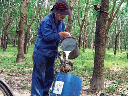 Cổ phiếu cần quan tâm ngày 27/1