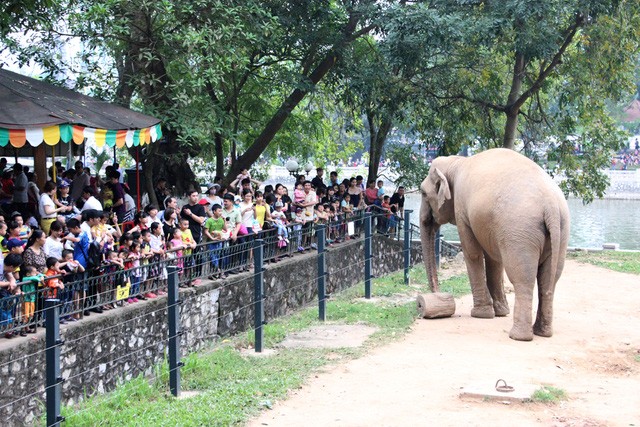 Hà Nội: “Biển người” đổ về công viên Thủ Lệ vui chơi ngày 30/4