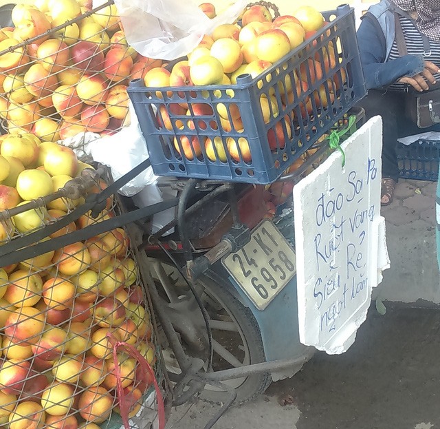 “Đội lốt” hàng Việt, đào, mận Trung Quốc tràn ngập phố