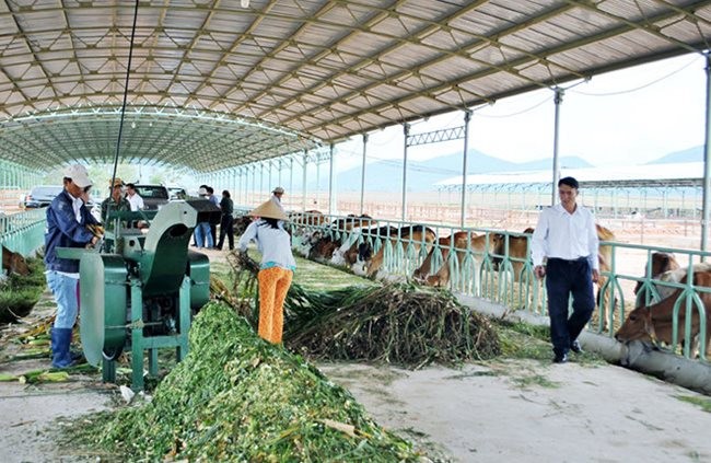 Hoàng Anh Gia Lai (HAG) đăng ký mua 24 triệu cổ phiếu HNG