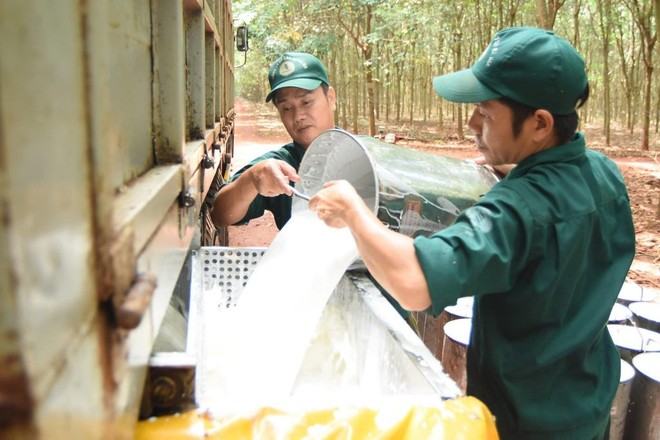 Cổ phiếu cần quan tâm ngày 4/11