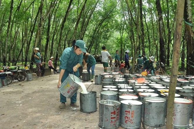 Cổ phiếu cần quan tâm ngày 27/4