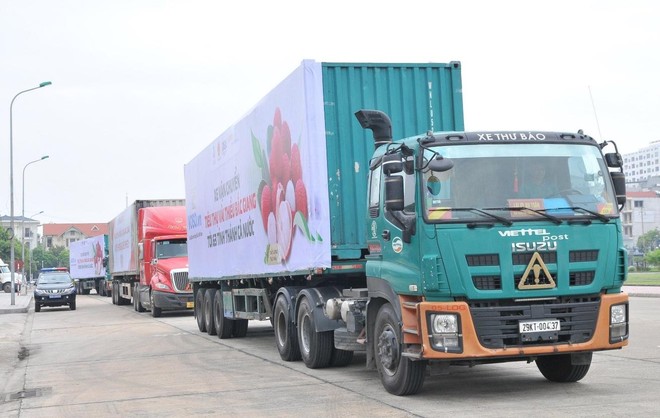 Tháo gỡ khó khăn logistic thương mại điện tử đảm bảo lưu thông hàng hoá