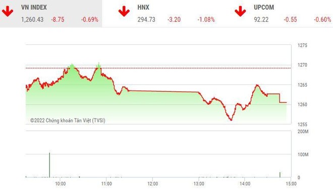 Giao dịch chứng khoán chiều 22/8: Sắc đỏ ngập tràn, mốc 1.260 điểm vẫn không thủng