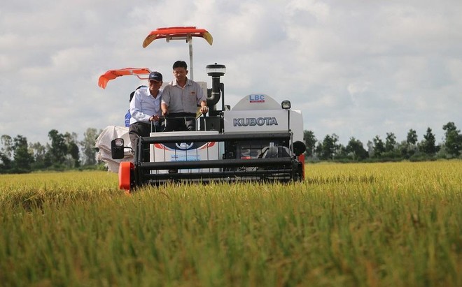 Lộc Trời (LTG): Chi phí tiếp khách, hội nghị và thù lao HĐQT tăng đột biến, hoạt động khác "cứu" lợi nhuận quý I/2022