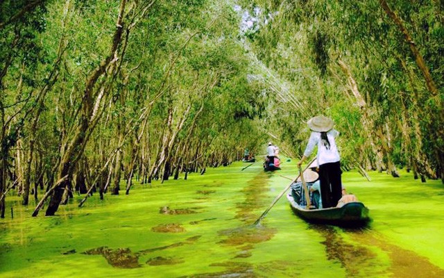 Điểm du lịch sinh thái Trà Sư thu hút đông đảo du khách.