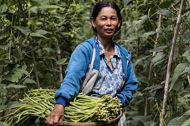 Quỹ Mekong Enterprise Fund IV và HUSK ký thỏa thuận đầu tư 5 triệu USD nhằm thúc đẩy nông nghiệp tái tạo tại Đông Nam Á