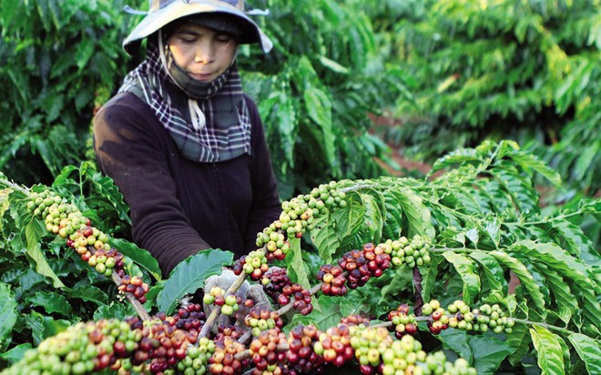 Giao dịch hàng hóa tuần từ 25 – 29/3/2019: Nóng đàm phán thương mại Mỹ - Trung