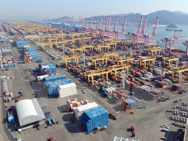 Cảng hàng hóa của tập đoàn vận tải Hanjin ở thành phố Busan, Hàn Quốc ngày 3/2. (Nguồn: AFP/TTXVN)