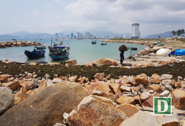 Dự án Nha Trang Sao (TP Nha Trang) từng bị xử phạt vì lấp danh thắng quốc gia Vịnh Nha Trang